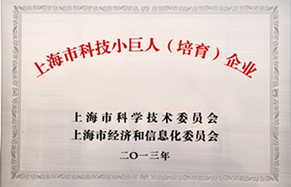honor2 上海市科技小巨人(培育)企业